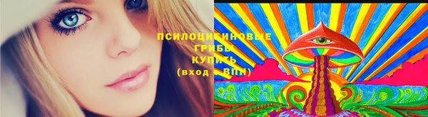 ECSTASY Вяземский
