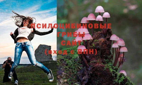 бутират Вязники