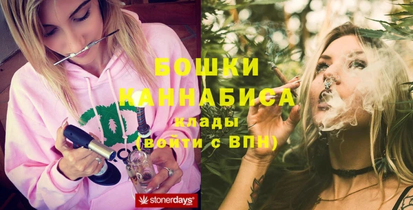 ECSTASY Вяземский