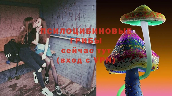 ECSTASY Вяземский