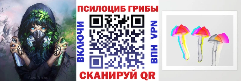 Купить закладки  Зуевка  Галлюциногенные грибы Cubensis 